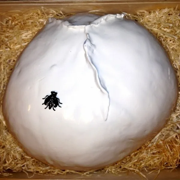 La Via Lattea di Ventrella - Ventrella Gioiellieri